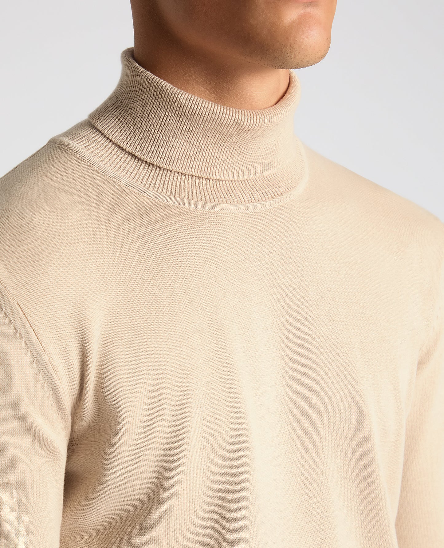 Tapered Fit Roll Neck Sweater